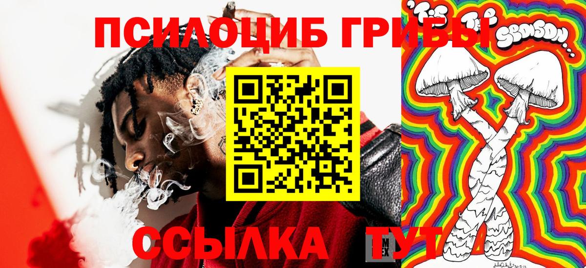 Электрогорск  Галлюциногенные грибы GOLDEN TEACHER  Вход с VPN 